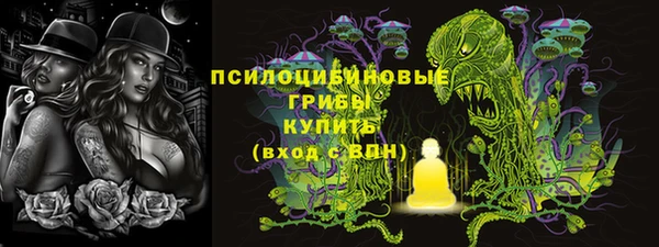 твердый Алексеевка