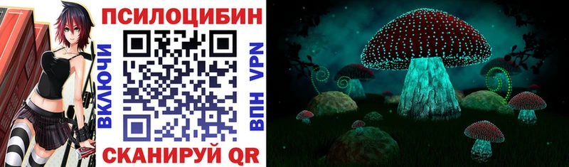Галлюциногенные грибы Psilocybine cubensis Завитинск