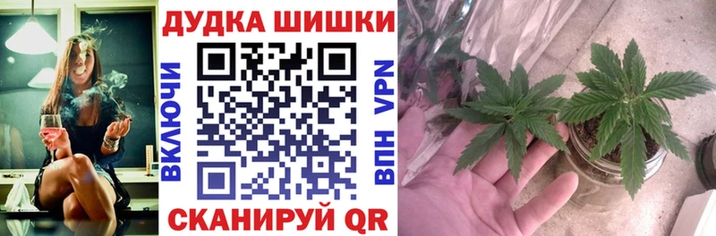 Марихуана Amnesia  Завитинск 